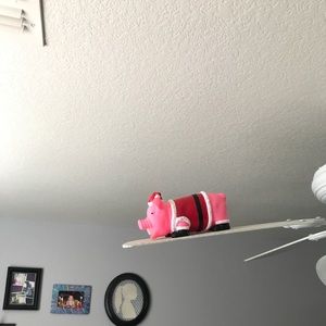 Meet your Posher, Faith